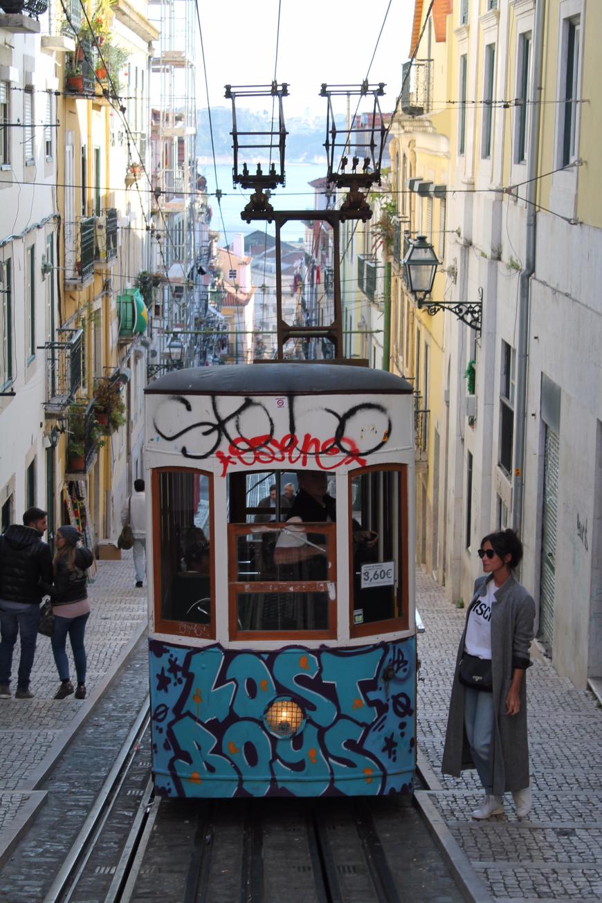 3,60 Euro für eine Einzelfahrt ist nicht ohne... Deshalb Geld sparen und lieber nur ein Foto von der Straßenbahn machen ;)