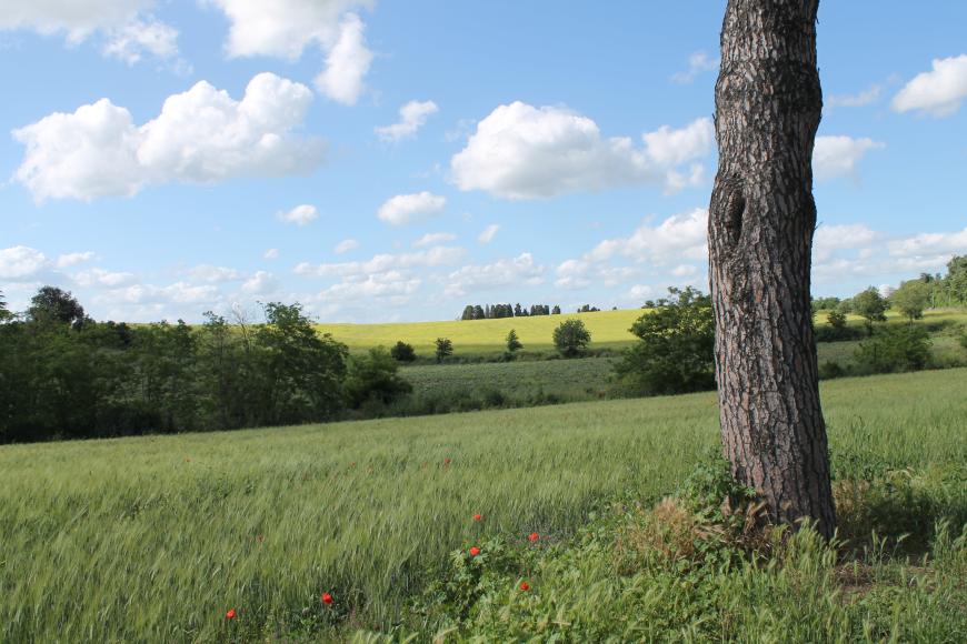 Die Landschaft von Rom ist malerisch!