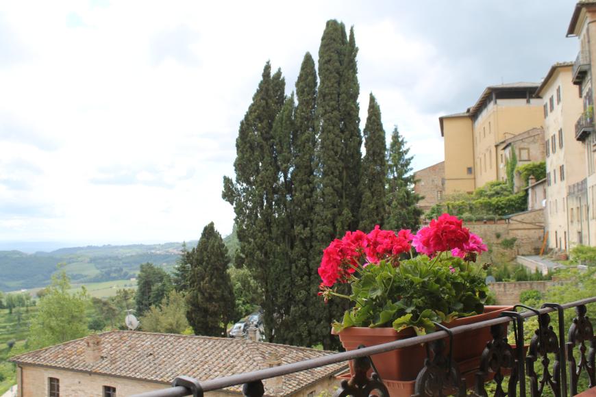 Die Landschaft Montepulcianos ist einfach zu schön!