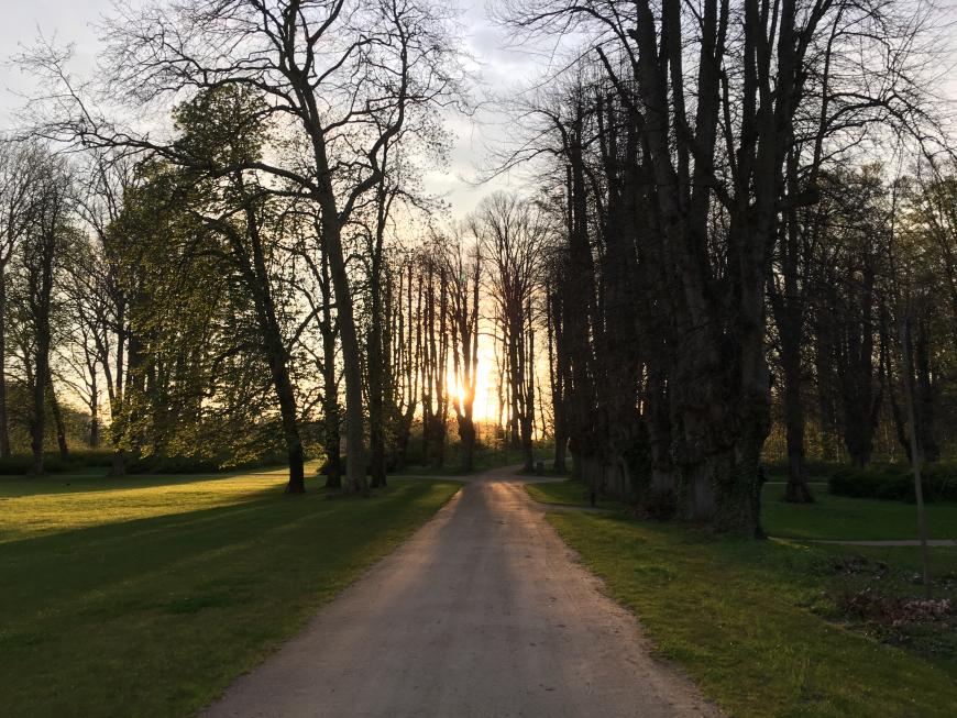Ich könnte stundenlang spazieren gehen in dieser wunderschönen Natur.