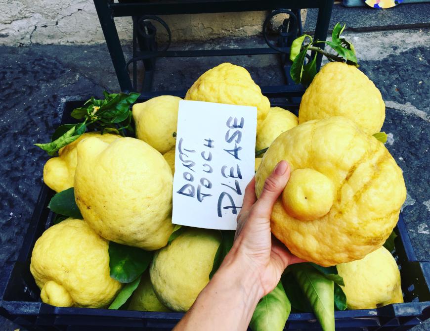 Die Napolitaner machen wirklich alles aus Limonen. Ihr müsst unbedingt einen Limoncello trinken (mindestens) und Limoncello-Eis probieren!