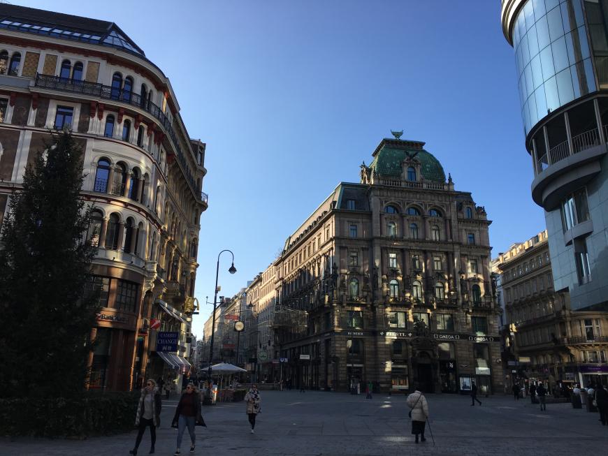 Die Innenstadt Wiens bietet zahlreiche Läden und Luxus-Boutiquen!