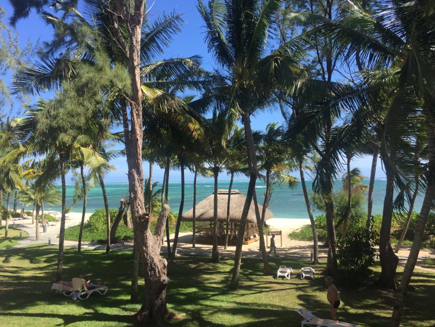 Back to the Dschungel...Traumsicht aus meinem Zimmer des Riu´s. Mein Tipp: Das Hotel ist perfekt für Sportbegeisterte gelegen, denn Le Morne zählt zu den weltweit besten Spots für den Kite-Sport! Beeindruckend ist auch sein 550 Meter hoher Berg!