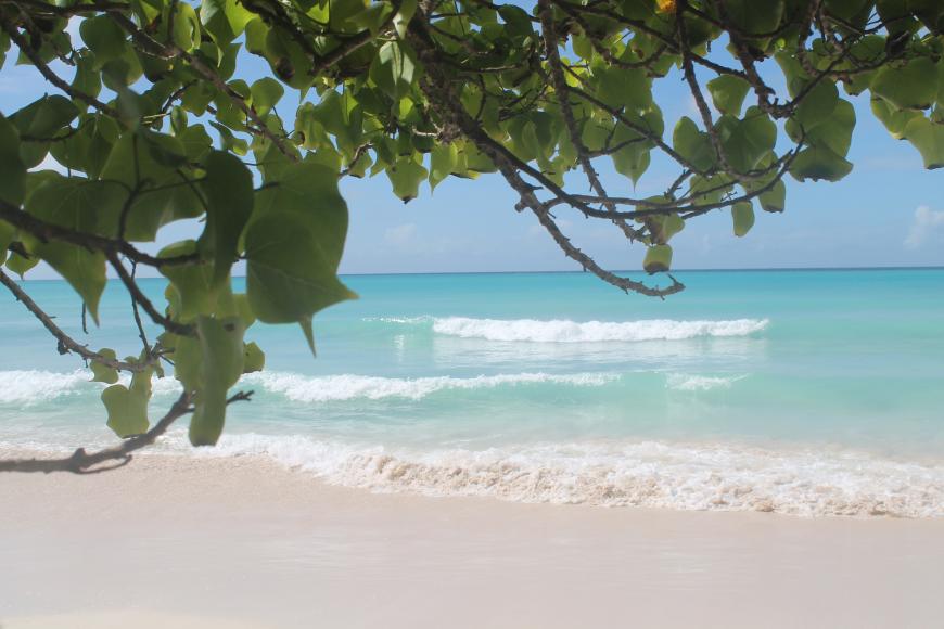 Mein absoluter Tipp ist allerdings Freights Bay! Der Strand ist versteckt und menschenleer - ein wahres Paradies.