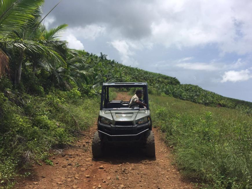 Wer mehr Aktion mag der sollte unbedingt eine Buggy-Tour durch das Frédérica Natur Reservat machen! Traumwasserfall und Palmen-Plantagen inklusive!