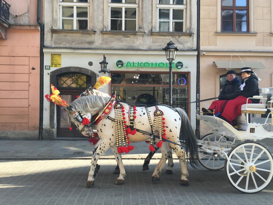Wer schon immer mal Kutsche fahren wollte, der ist in Krakow genau richtig, denn dort gibt es Stadtrundfahrten für 100 Zloty pro Person.