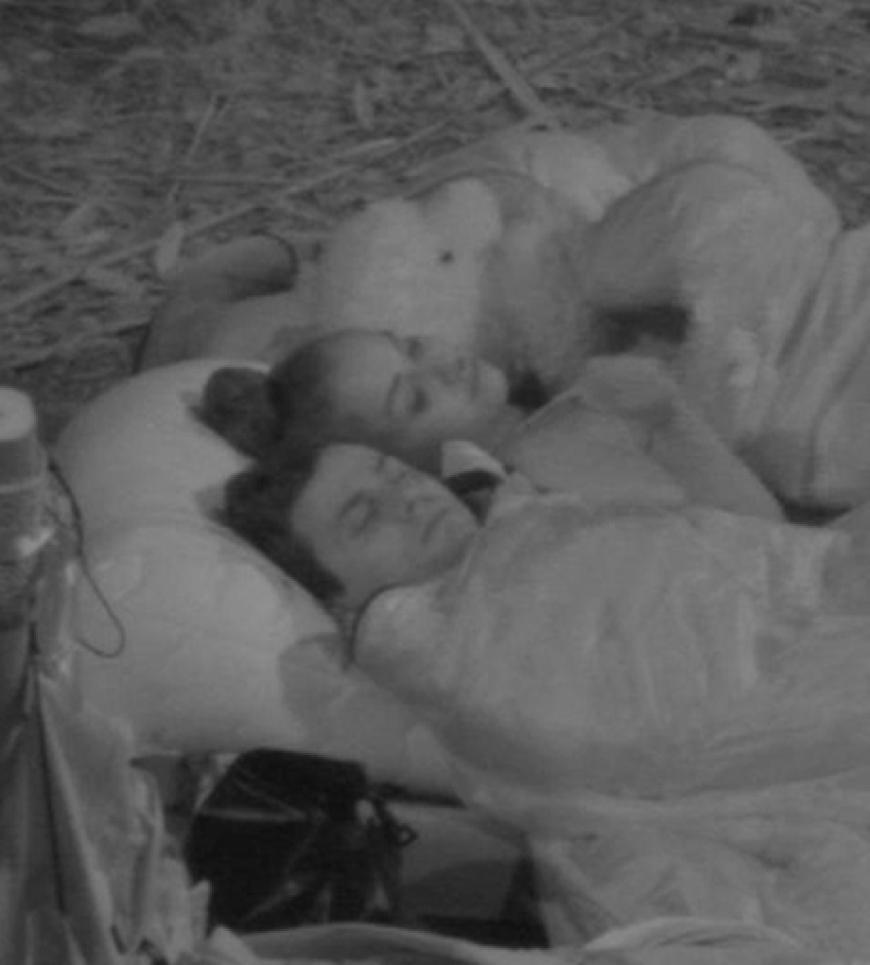 Im Dunkeln ist gut munkeln: Rocco und Kim schlafen zusammen ein