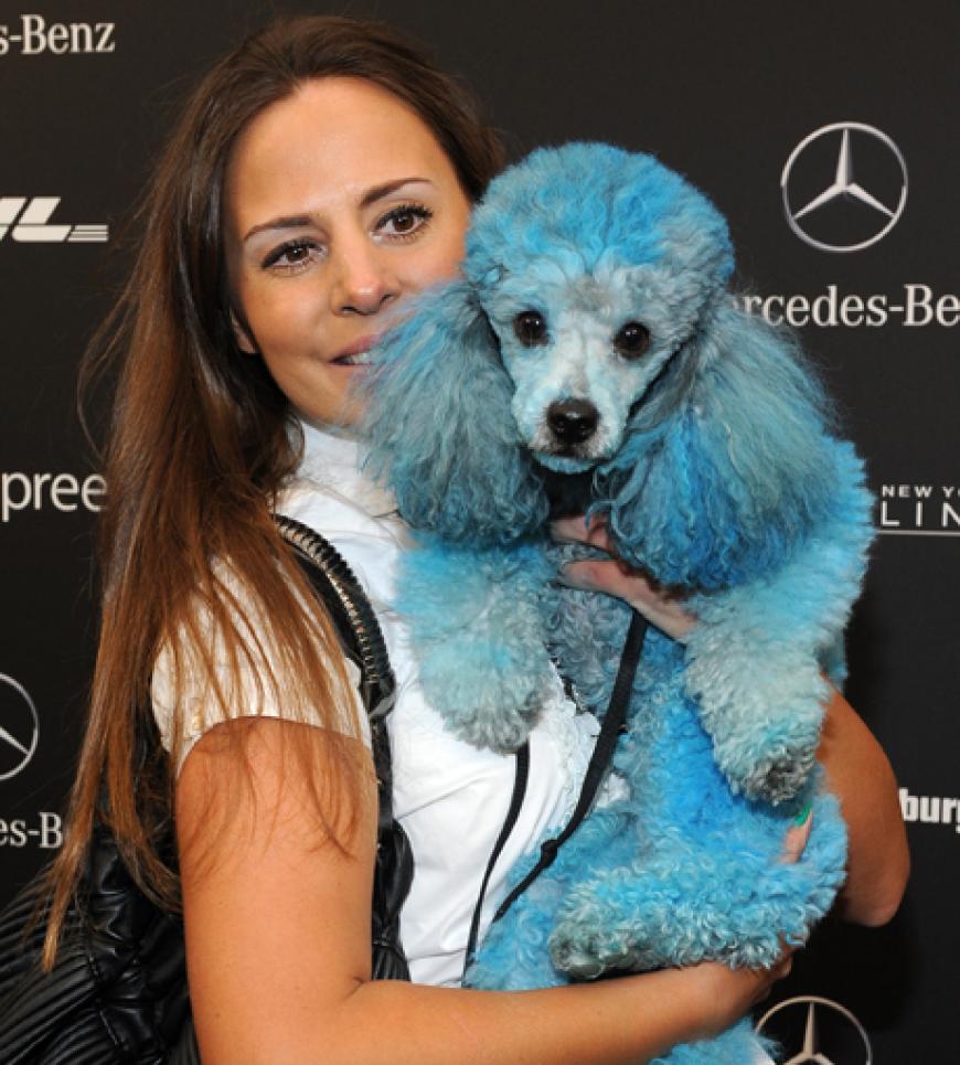 Der Name ist Programm: It-Girl Aksana Demakina kam mit ihrem Liebling Mr. Blue zur Show