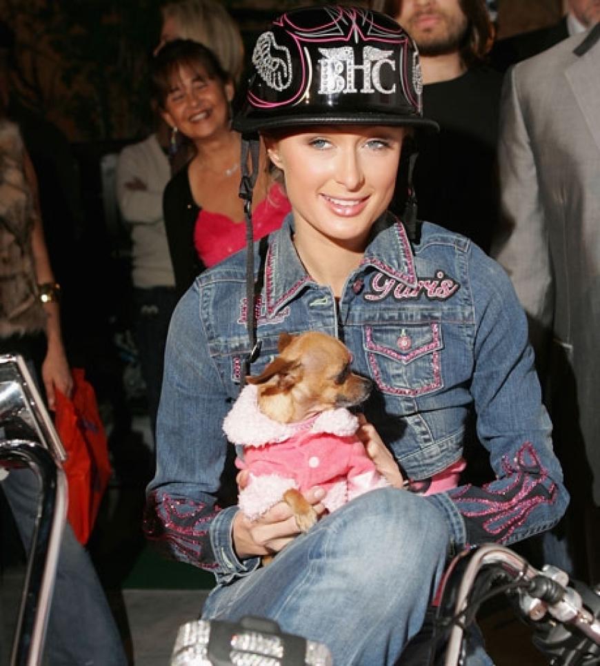 Paris Hilton freut sich über ihr Geschenk. Aber was hat der Hund auf dem Motorrad verloren?