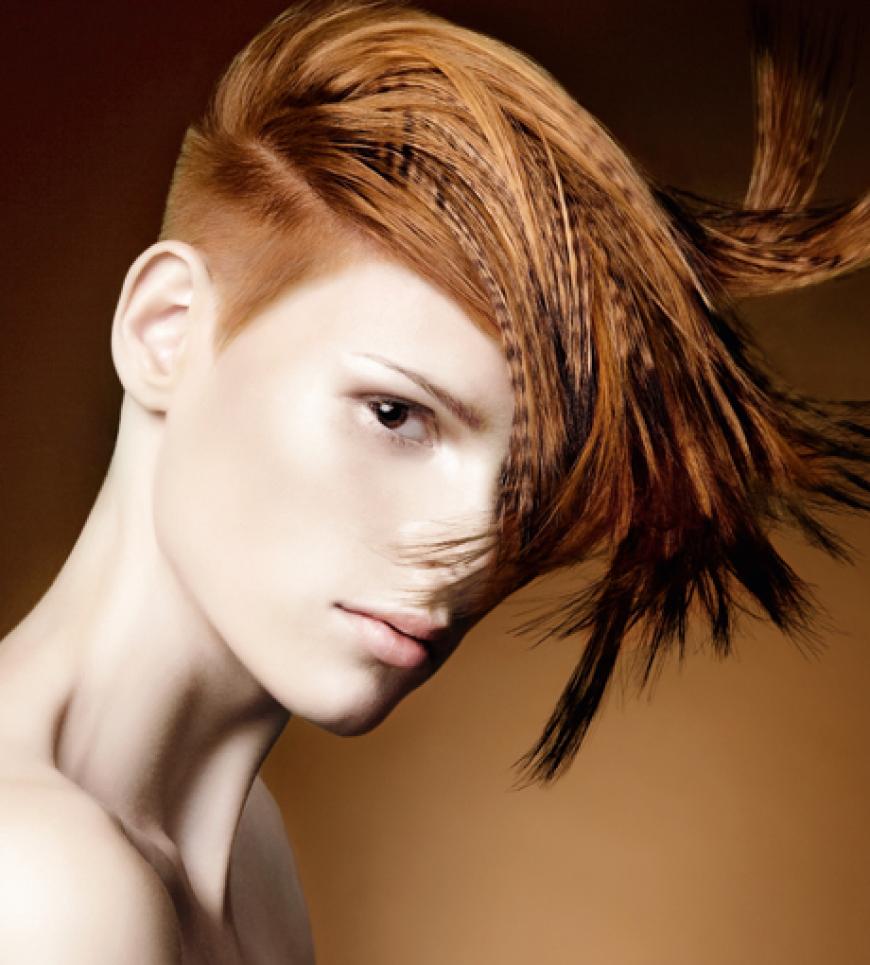Christian Wippel, DER FRISEUR, Stuttgart