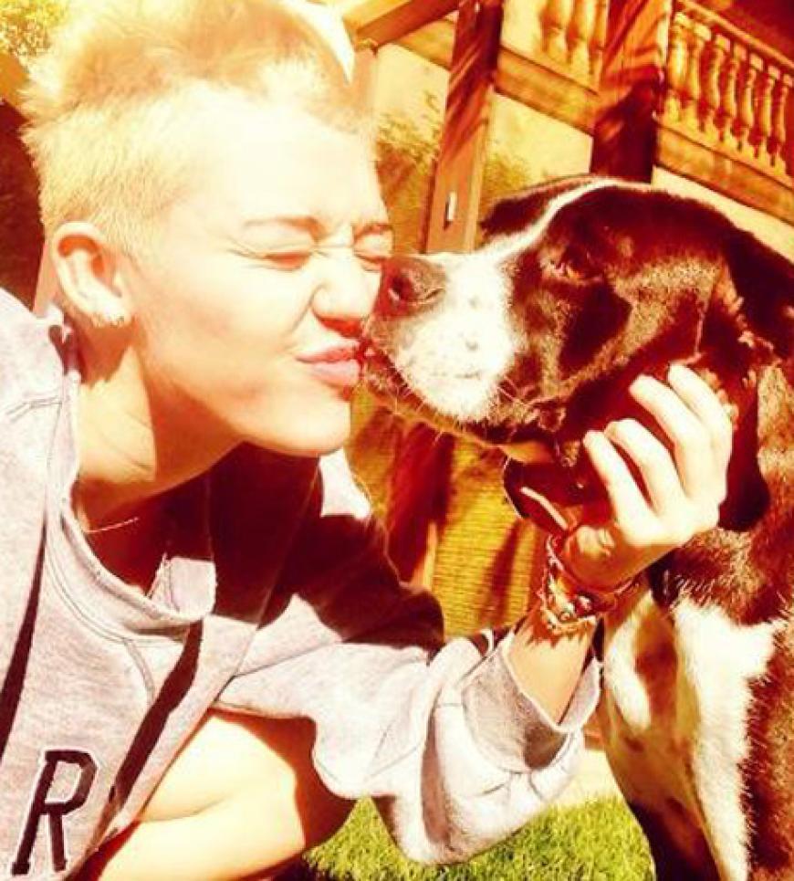 Trotz zahlreicher Kritik, wehrt Miley Cyrus sich gegen die Hunde-Knutsch-Vorwürfe. Was wohl ihr Lover Liam Hemstworth zu diesen feuchten Knutschern sagt?