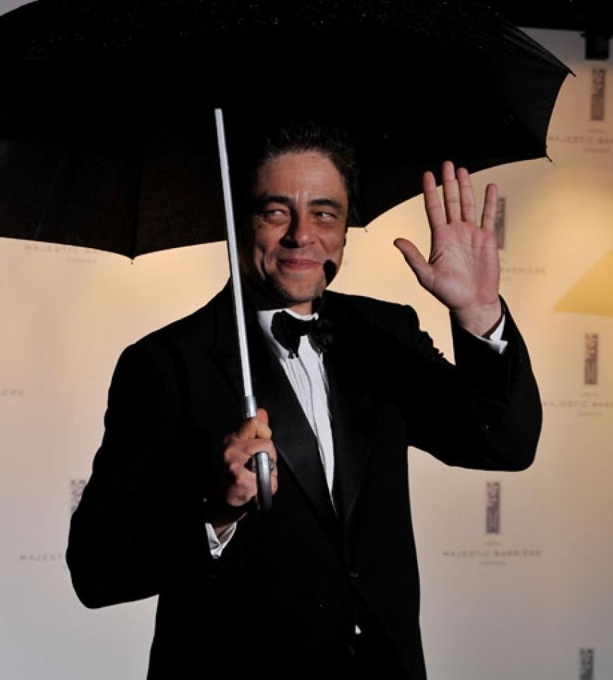 Selbst ist der Mann. Jury-Mitglied Benicio del Torro braucht keine Schirmträger