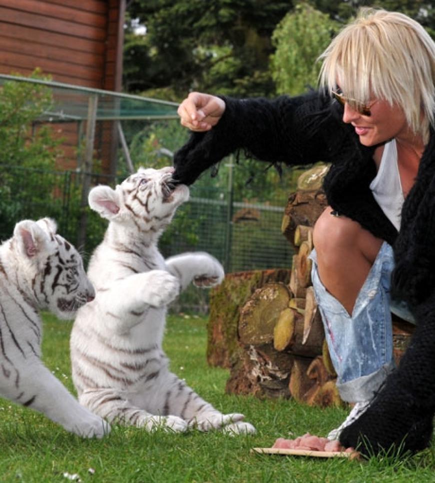 Doch am Dienstag gehörte die Aufmerksamkeit nur Kiko und Riko. Die beiden Tiger-Waisen kamen im März zur Welt und wurden mit der Hand aufgezogen