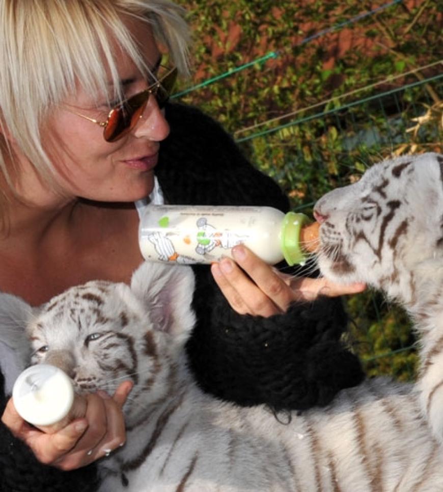Sarah Connor füttert die beiden mit Milch aus der Flasche. Die Kleinen wurden nach der Geburt von ihrer Mutter verstoßen