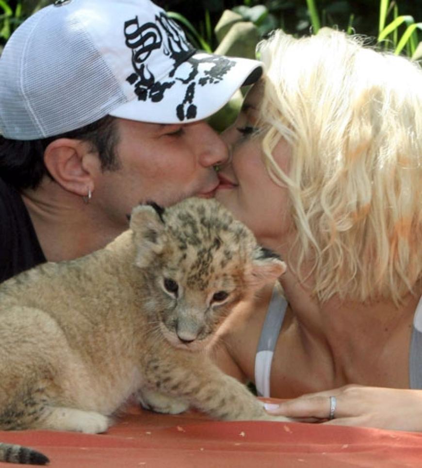 Schnell wurden die Tigerbabys auch mal zur Nebensache