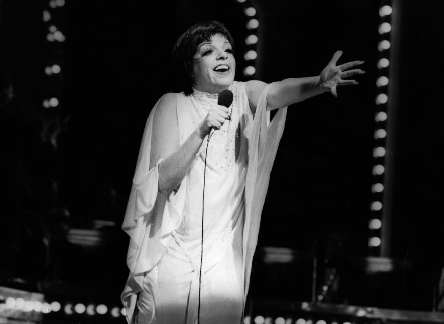 Liza Minnelli ist seit Jahrzehnten ein Star - erhielt viele Auszeichnungen.