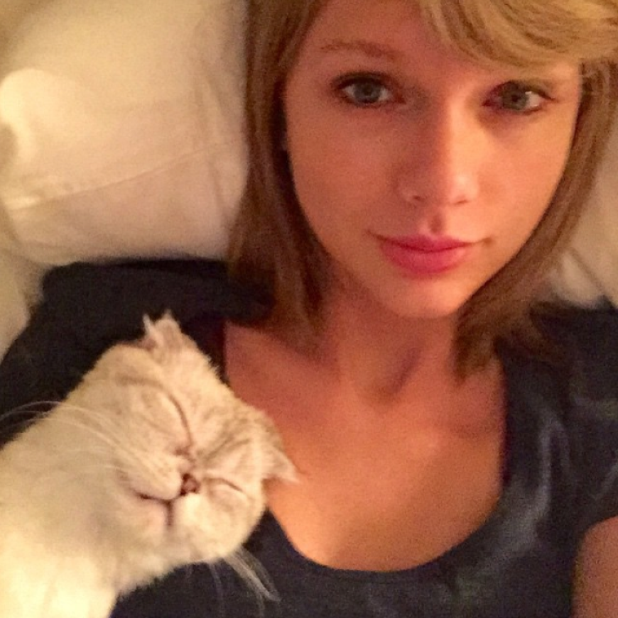 Taylor Swift mit ihrer Katze.