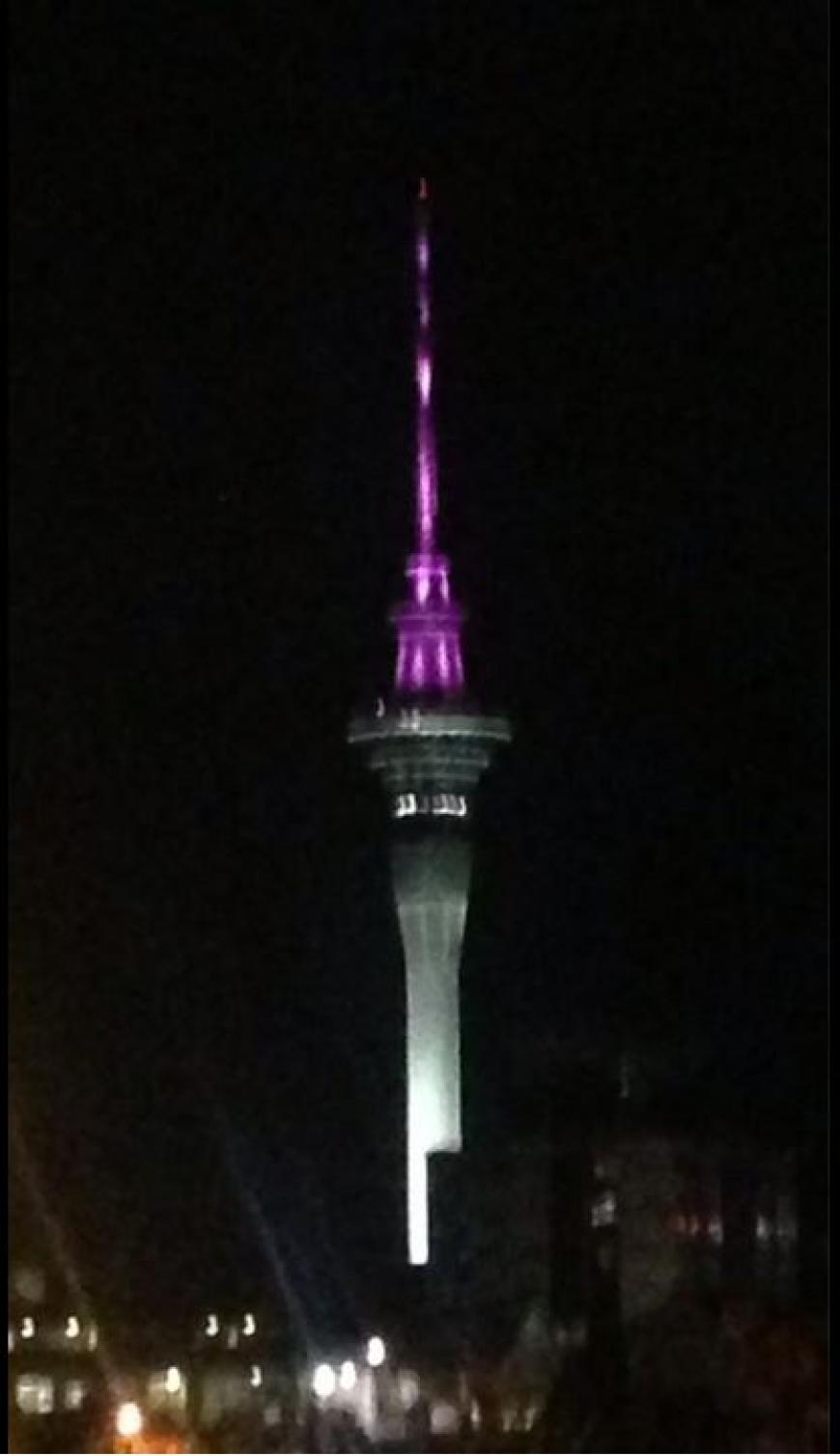 In Auckland, Neuseeland, wurde der Sky Tower pink beleuchtet.