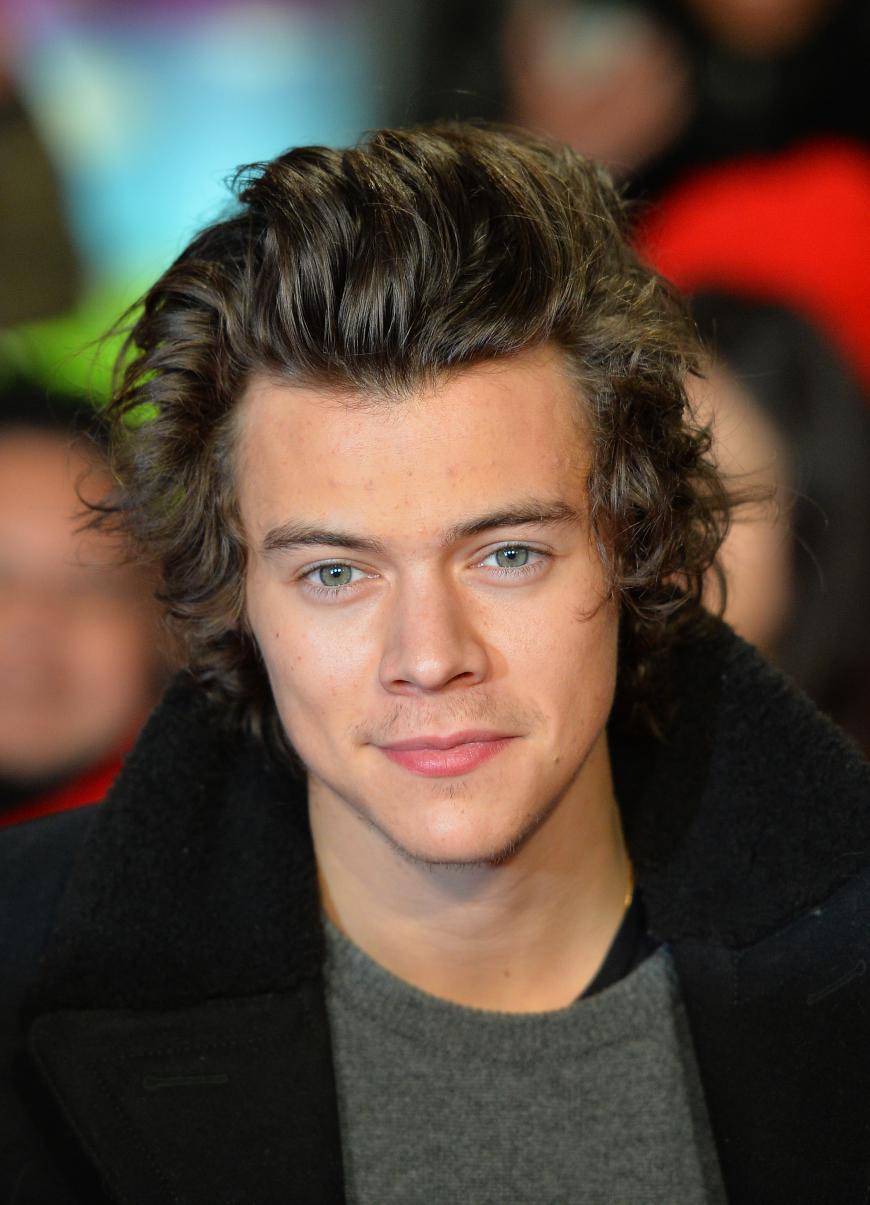 Harry Styles liebt Models!