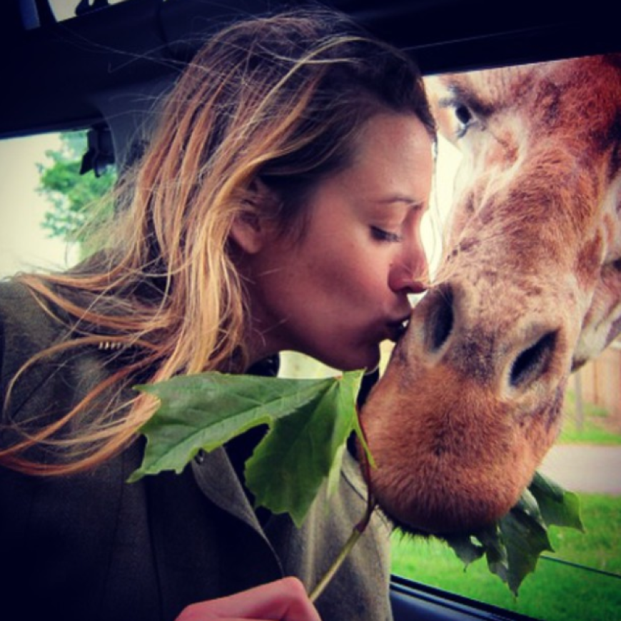 Awwww! Statt ihren Liebsten Ryan Reynolds küsst Blake Lively lieber eine vorbeischneiende Giraffe. We love!