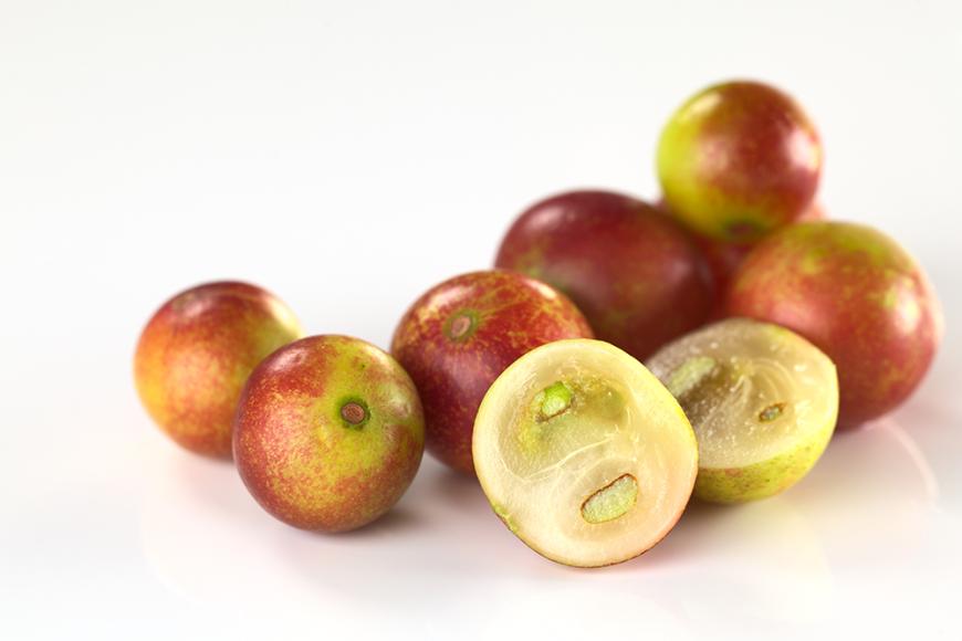 Camu Camu kommt aus Südamerika und enthält viel Vitamin C.