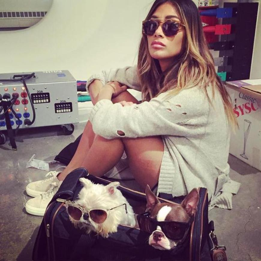 Nicht ohne meine Sonnenbrille! Nicole Scherzinger und ihre Vierbeiner sind lässig unterwegs.
