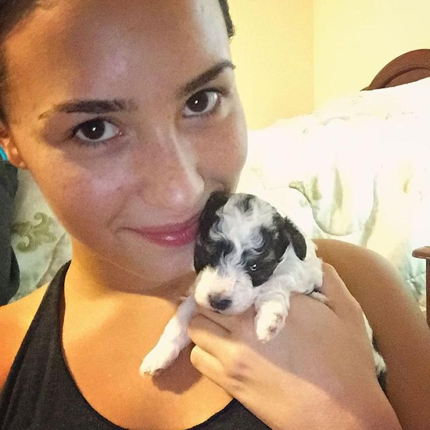 Zuckersüß! - Demi Lovato zeigt ihren niedlichen Familienzuwachs!