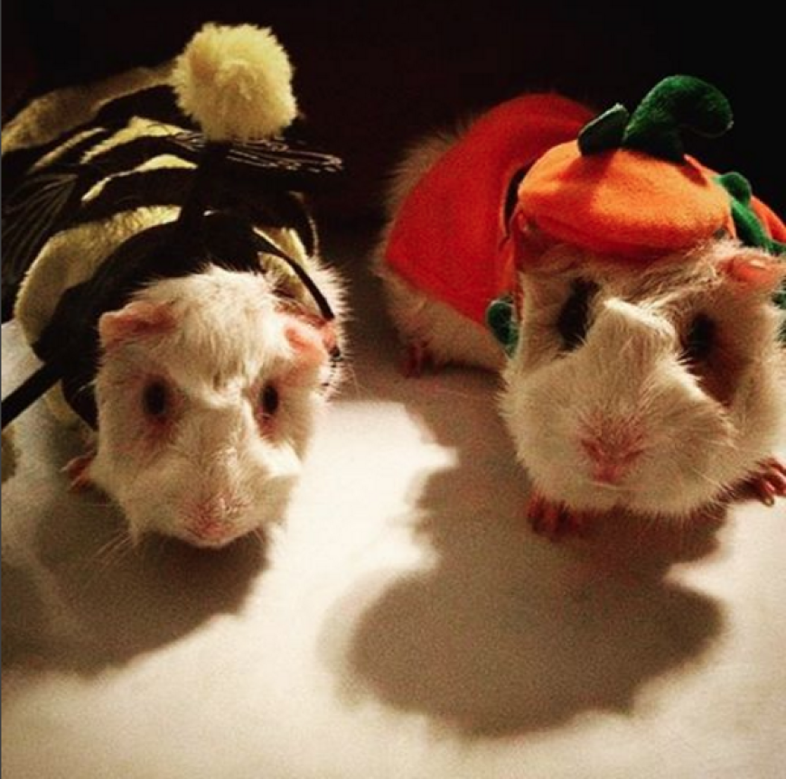 Awww!