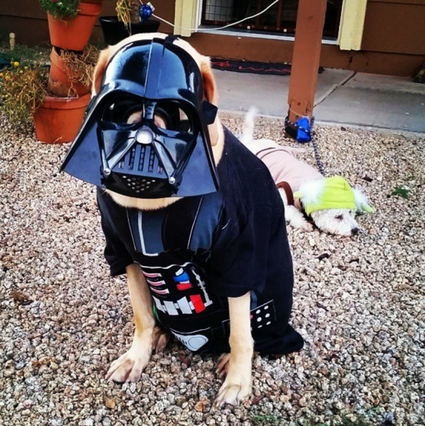 So cool: Der