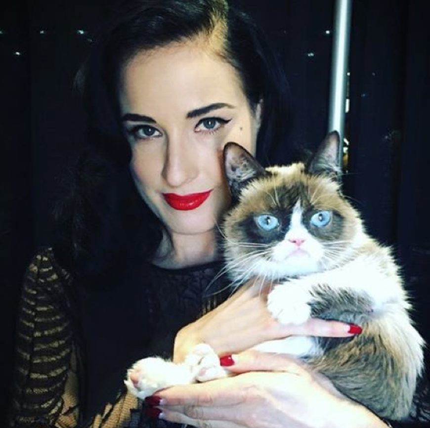 Miau! - Grumpy Cat hat das, wovon viele träumen: Streicheleinheiten von sexy Dita von Teese!