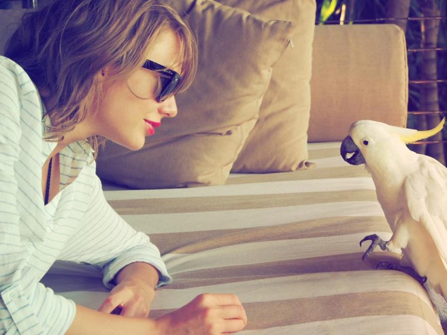 Tierisch! - Taylor Swift schließt in Australien Freundschaft mit diesem süßen Papagei.