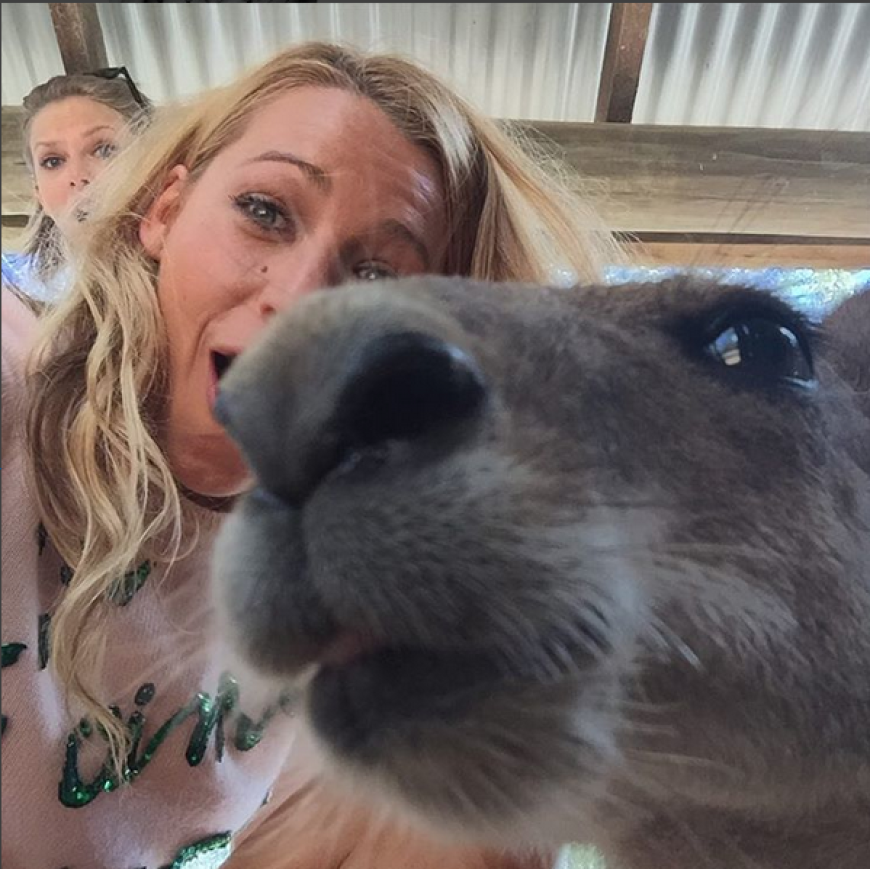 Tierischer Schnappschuss! - Taylor Swift & Blake Lively machen zusammen Australien unsicher.