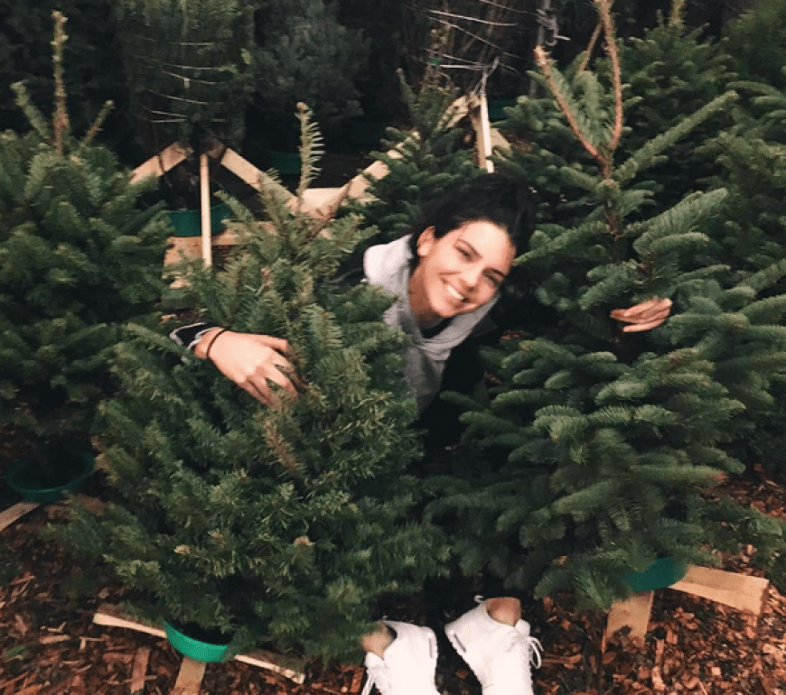 So weit ist Kendall Jenner noch lange nicht...