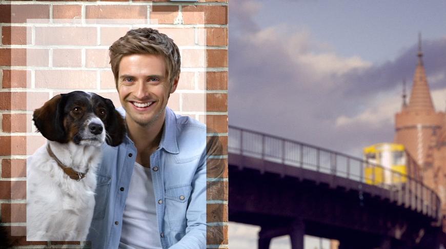 Es war ein großer Schock für die Fans: Auch Serienhund Bolle starb 2015 den Serientod. Der vierbeinige Serien-Liebling wird eingeschläfert, nachdem bei ihm ein Organversagen aufgrund von Altersschwäche diagnostiziert wurde.