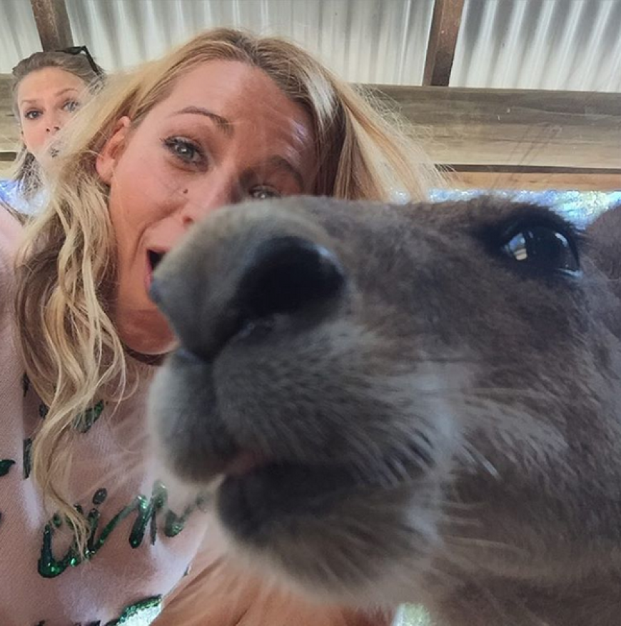 Selfie-Alarm! Blake Lively und Taylor Swift trafen im Urlaub in Australien auf diesen netten Zeitgenossen.