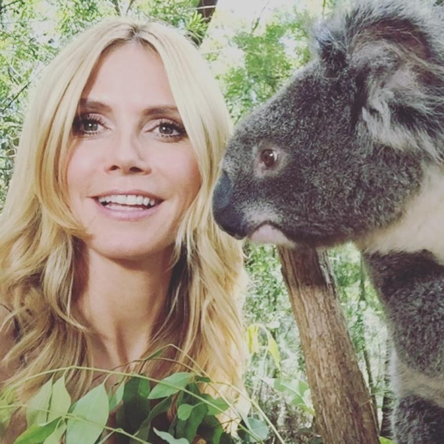 Süße Koala-Kuschelei! Heidi Klum hat in Australien dieses süße Kerlchen getroffen.