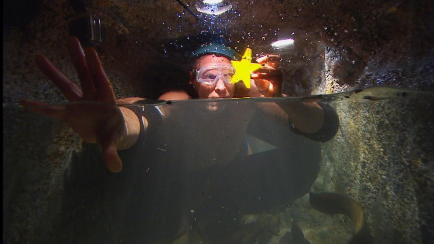 Thorsten Legat muss untertauchen. Die begehrten Sterne der heutigen Prüfung sind in einer unterirdischen Höhle voller Wasser zu erspielen.
