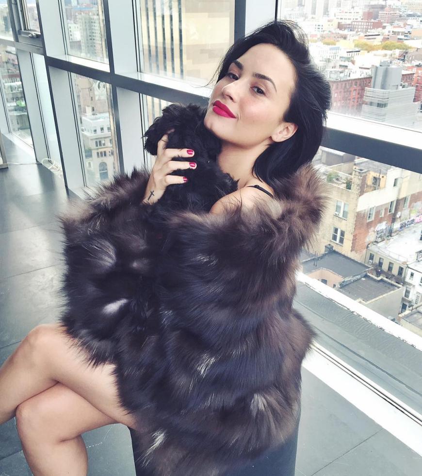 Für diesen Schnappschuss erntet Demi Lovato einen heftigen Shitstorm.