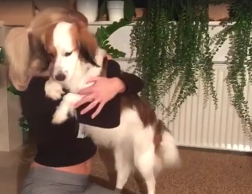 Immerhin ihr Hund ist happy, dass Steffi einen Korb von Leonard Freier bekommen hat.