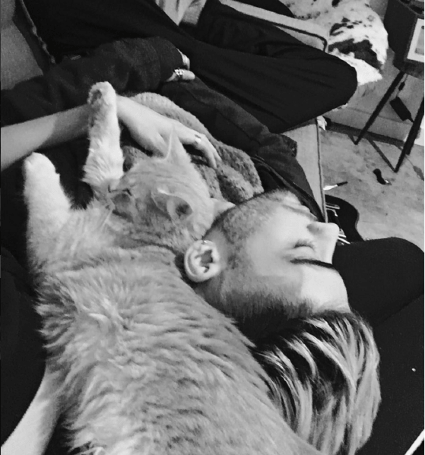 Gigi Hadid und Zayn Malik verbringen den Valentinstag kuschelnd mit Stubentiger auf dem Sofa.