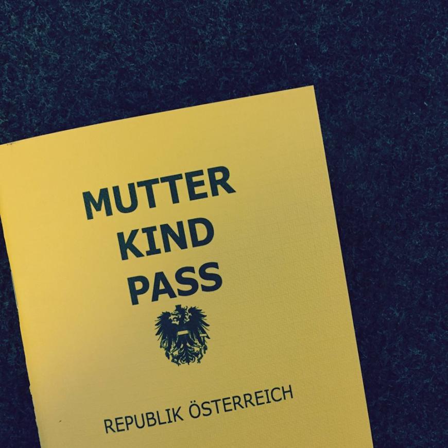 Stolz postete die Sängerin ein Foto ihres Mutterpasses.