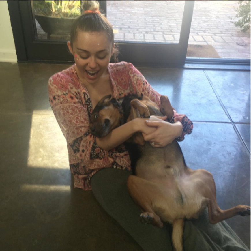 Gerüchte um ein Liebescomeback flammten auf, als Miley wieder ihren 3,5-Karat-Ring am Finger trug.