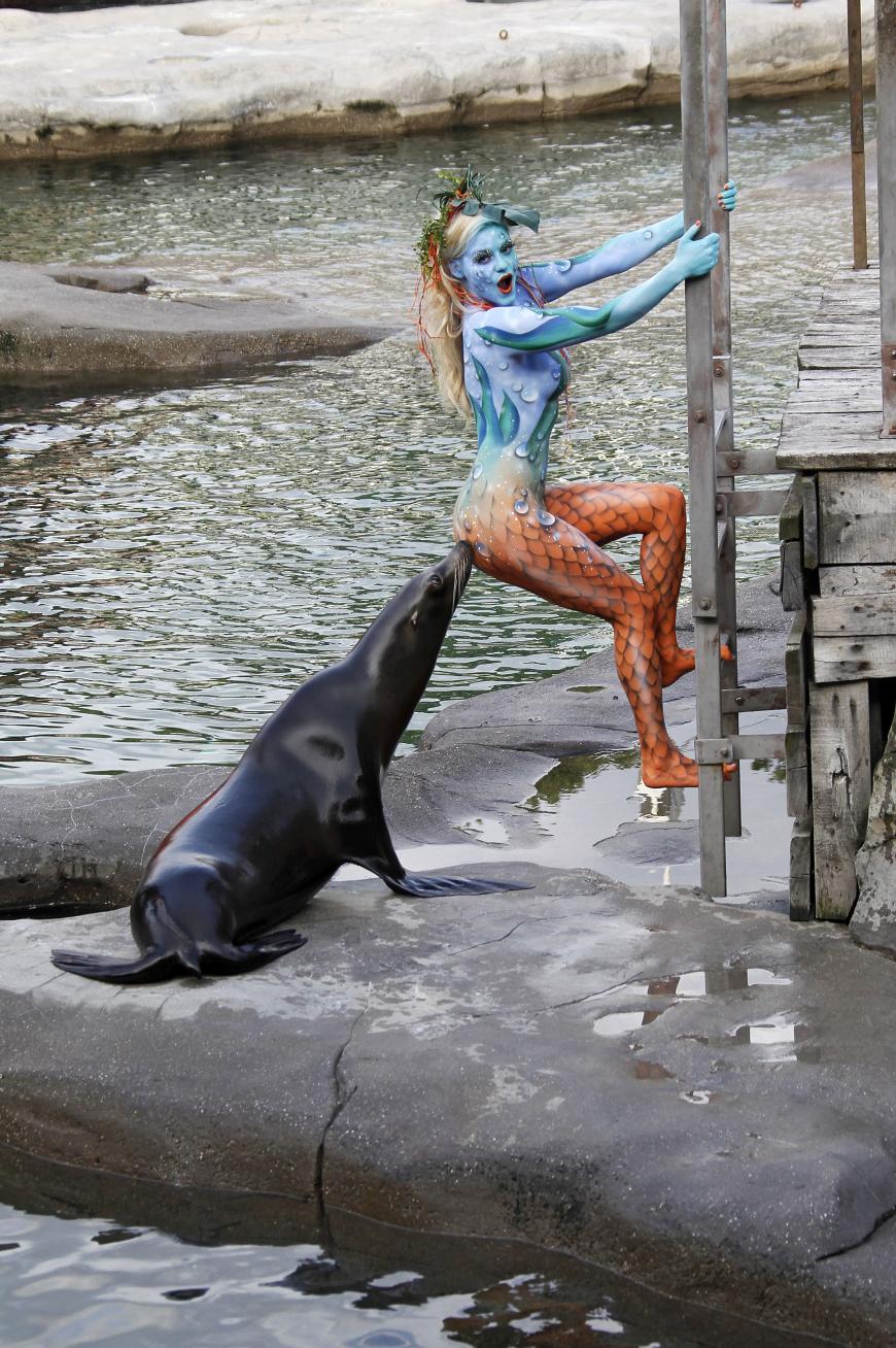 Huch! Bei einem Tierpfleger-Bodypaint-Fotoshooting lässt sich Nixe Daniela von einem Seelöwen im Elebnis-Zoo Hannover den Po beschnuppern.