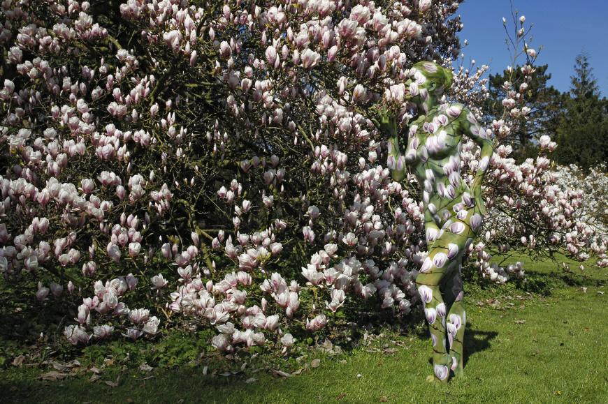 Daniela Buchholz macht sich im Magnolien-Busch unsichtbar.