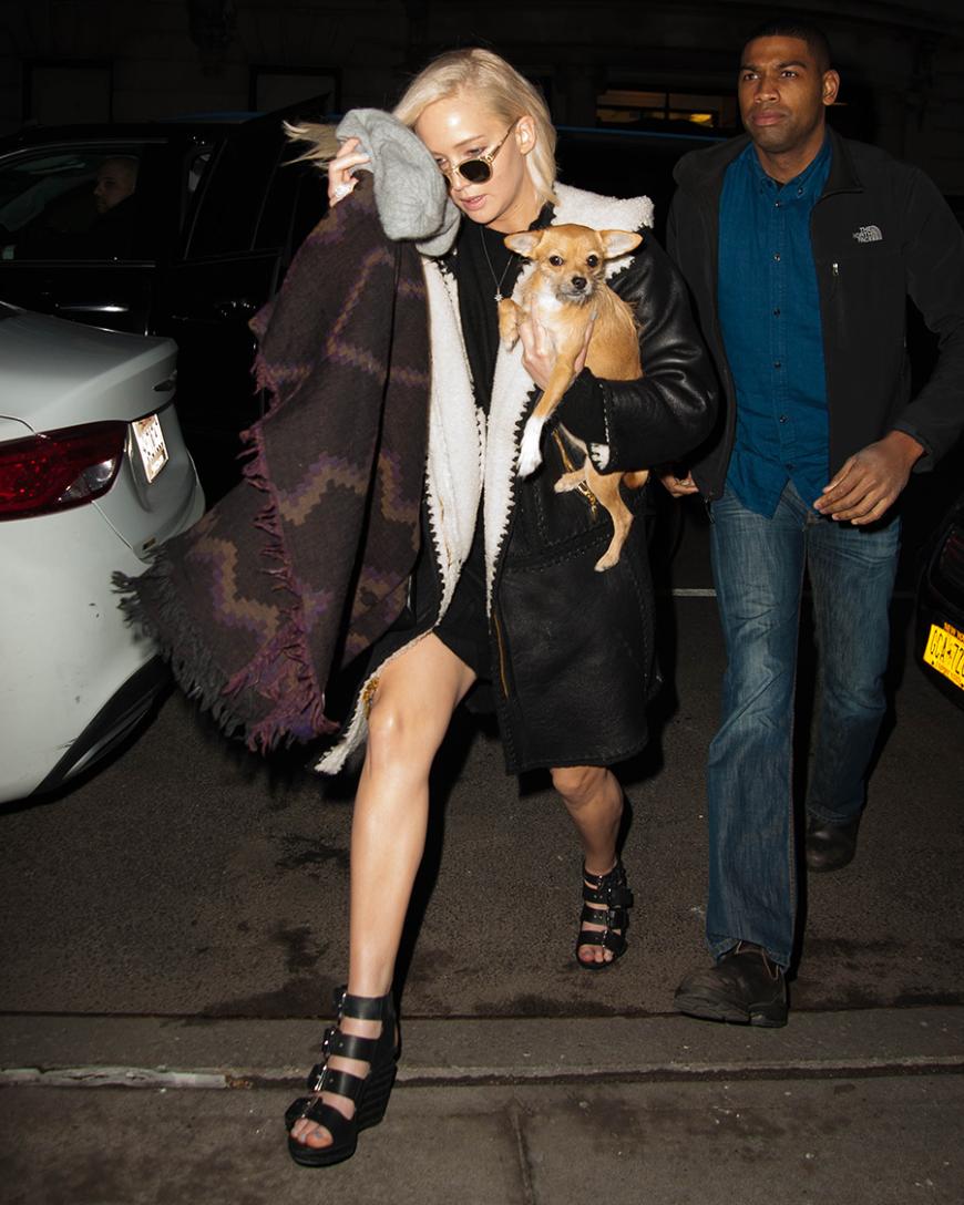 Guckuck! Jennifer Lawrence versteckt sich ganz im Gegensatz zu ihrem haarigen Freund vor den Paparazzi in New York.