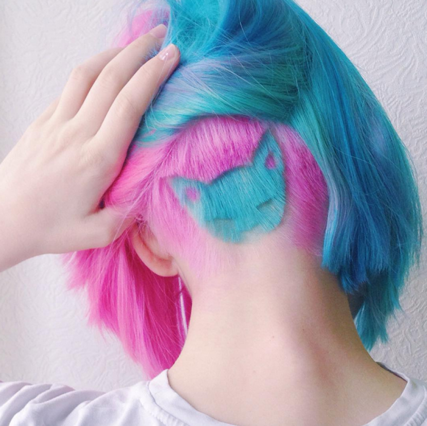 Das blaue rasierte Kätzchen auf dem zweifarbigen Schopf war ein viraler Hit.