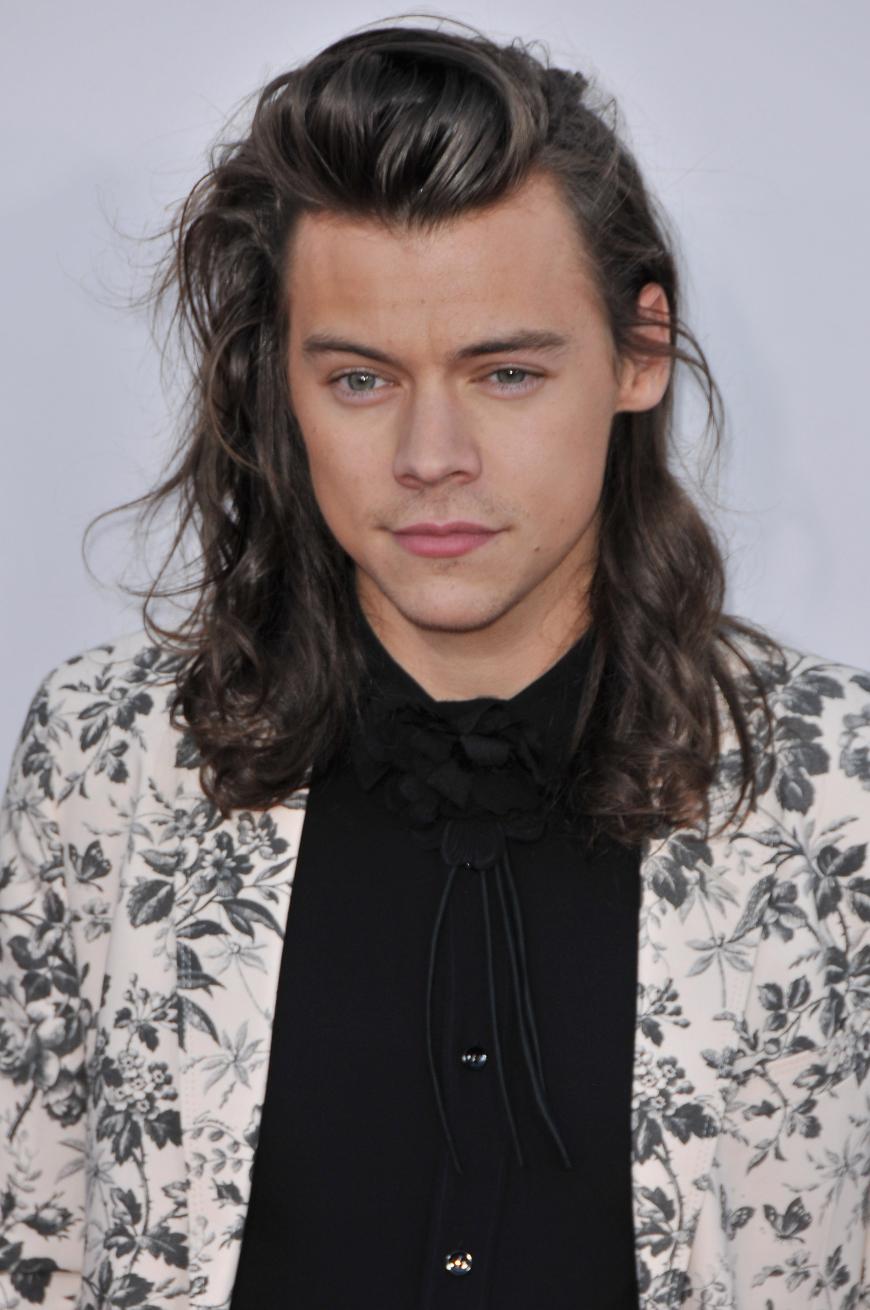 Ob es sich bei dem Foto tatsächlich um die Haare von Harry Styles handelt, ist bisher nicht bekannt.
