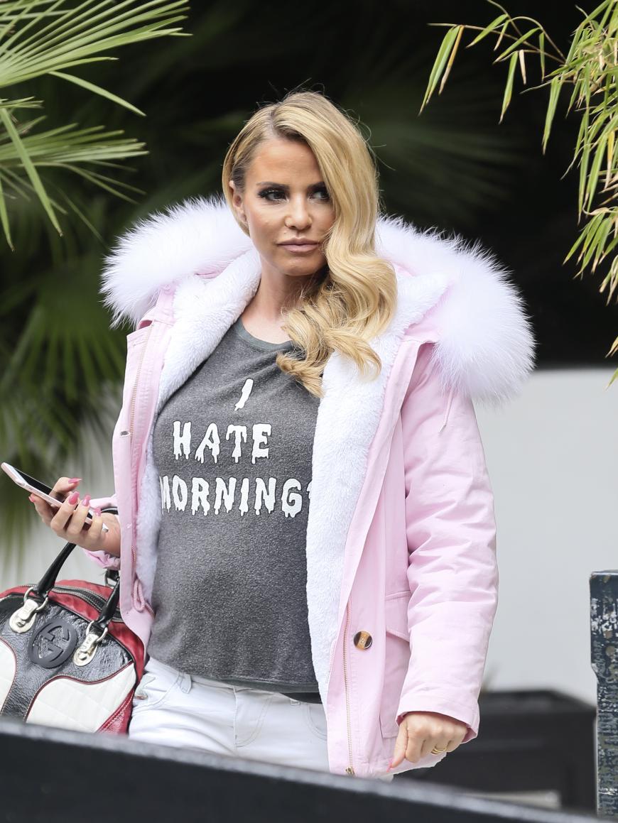 Wenn das kein Babybauch bei Katie Price ist?