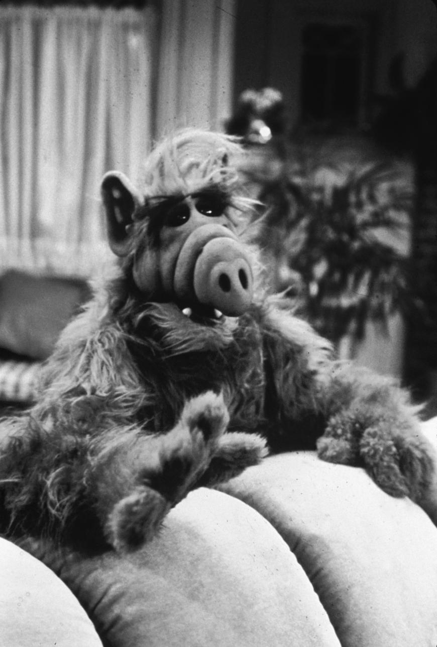 "Alf" war eine der großen Kultserien in den Achtzigerjahren.
