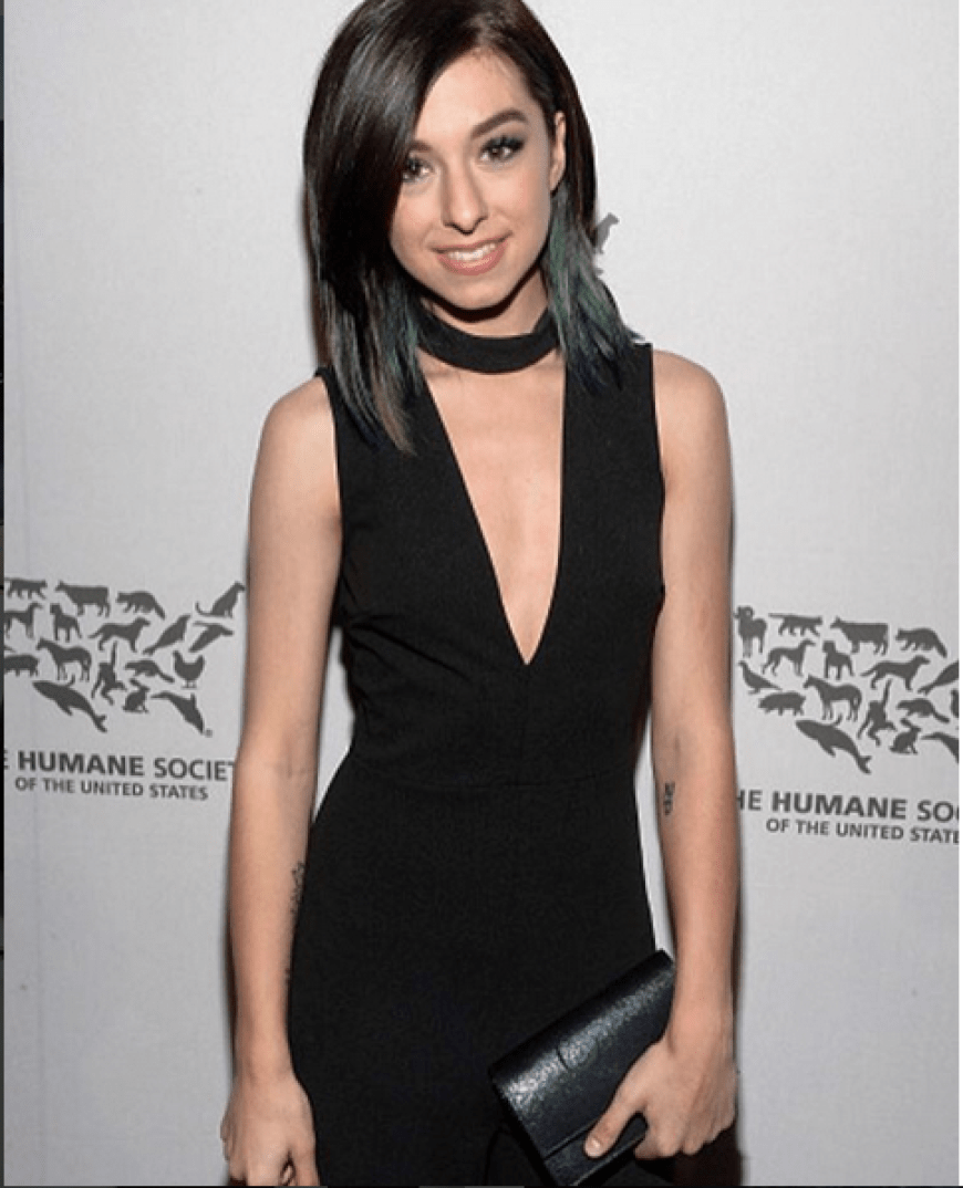 Am Freitagabend erschoss ein wahrscheinlich geistig verwirrter Fan die Sängerin Christina Grimmie nach ihrem Konzert in Orlando.